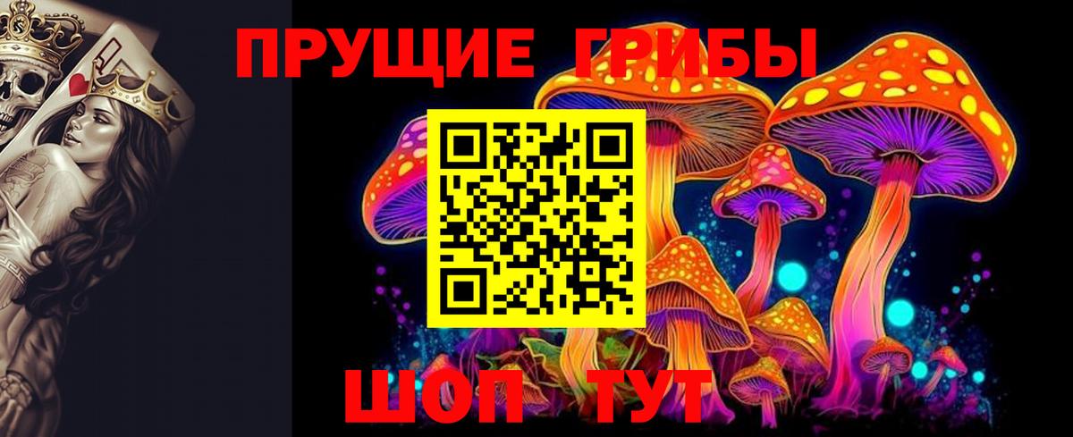 Кировск  Псилоцибиновые грибы Psilocybine cubensis  Вход с VPN 